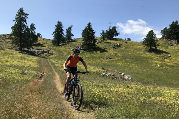 Discover the surroundings ON TWO WHEELS 
On the ROADBIKE to ride the famous Galibier and many others.
Take your MOUNTAINBIKE whenever you love Downhill or Cross-country 
Bring your GRAVELBIKE for endless dirtroads up to 2000m
The Electric-Bike is a great solution to cover more height-gain.
Local shops are proposing all sorts of Bike-rental.